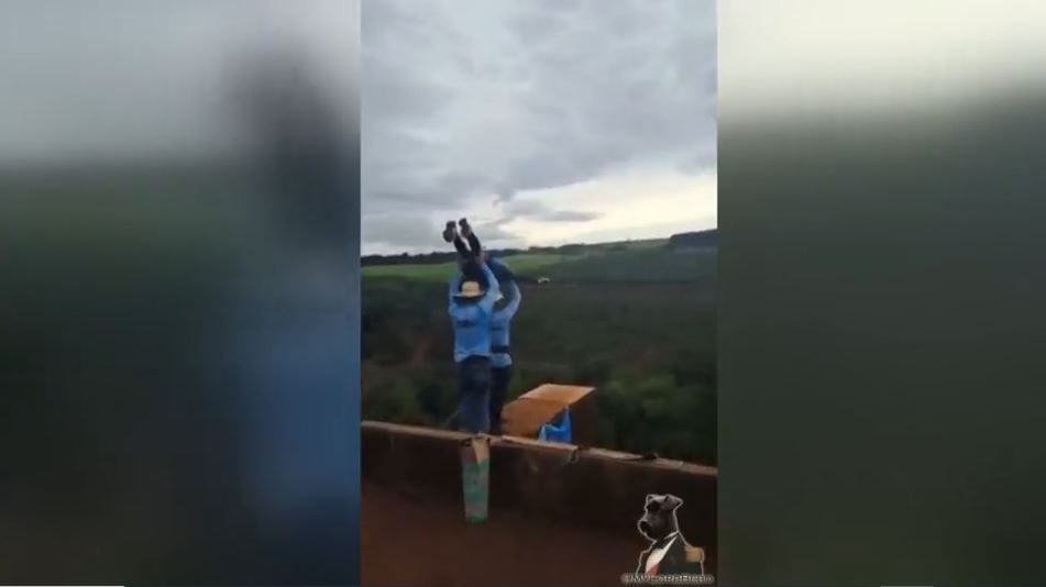 Los instantes previos al lanzamiento de la joven haciendo puenting en Brasil. (RRSS) Los instantes previos al lanzamiento de la joven haciendo puenting en Brasil. (RRSS)