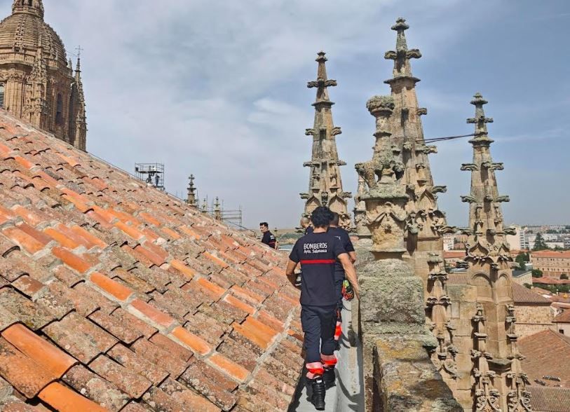 Los bomberos, en la Catedral, este martes.