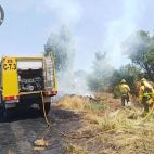 Una brigada de extinción de incendios de Castilla y León. (ARCHIVO) Una brigada de extinción de incendios de Castilla y León. (ARCHIVO)