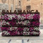 La jardinera de petunias de la Rúa que impide apreciar en toda su hermosura La Clerecía, La Casa de las Conchas y la estatua del maestro Salinas. 