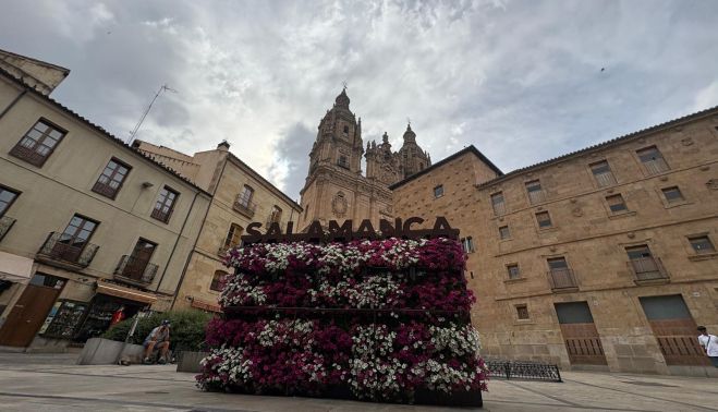 La jardinera de la Rúa que impide ver en todo su esplendor la Casa de las Conchas, La Clerecía y la estatua del Maestro Salinas. La jardinera de la Rúa que impide ver en todo su esplendor la Casa de las Conchas, La Clerecía y la estatua del Maestro Salinas.