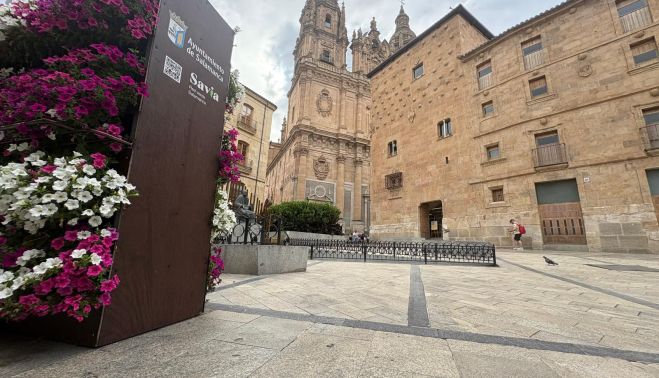 La jardinera de petunias con La Clerecía y la Casa de las Conchas al fondo. La jardinera de petunias con La Clerecía y la Casa de las Conchas al fondo.