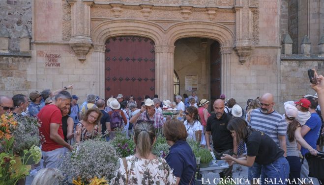 Salmantinos, curiosos y amantes de las flores acudieron al Patio de Escuelas a presenciar el certamen. Fotografía. Pablo de la Peña. 