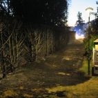 Incendio en la Fontana