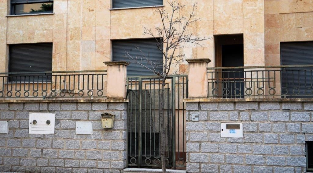 Un árbol plantado este invierno en la calle Florencio Marcos. Fotografía. Asociación Comité Antinuclear y Ecologista de Salamanca. 