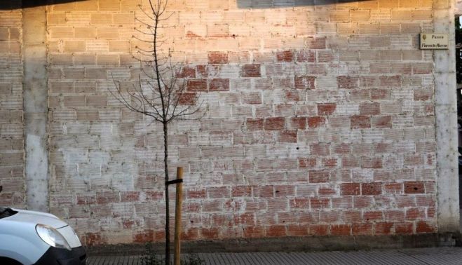Un árbol plantado este año en la calle Florencio Marcos. Fotografía. Comité Antinuclear y Ecologista de Salamanca. Un árbol plantado este año en la calle Florencio Marcos. Fotografía. Comité Antinuclear y Ecologista de Salamanca.