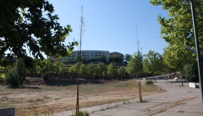 Árboles secos plantados este año en Salamanca. Fotografías. Comité Antinuclear y Ecologista de Salamanca.(1) Árboles secos plantados este año en Salamanca. Fotografías. Comité Antinuclear y Ecologista de Salamanca.(1)