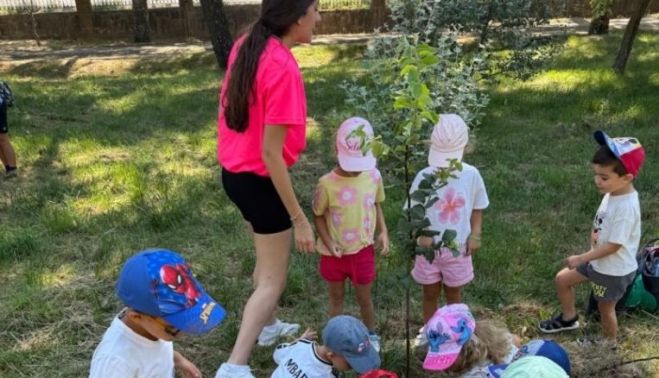 La actividad en Guijuelo. La actividad en Guijuelo.