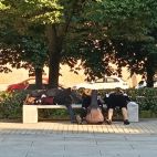 Tunos dormidos en la Vaguada de la palma. (Foto: Pablo de a Peña)