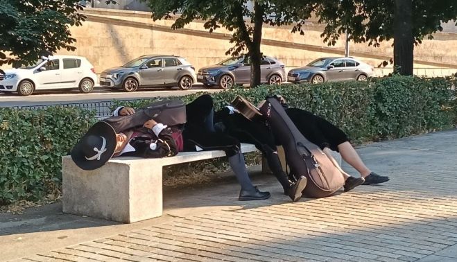 Tunos dormidos como lirones en la Vaguada de la Palma. (Foto: Pablo de la Peña)