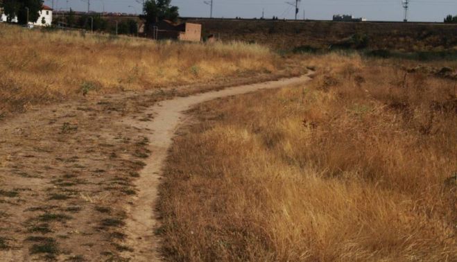 Senda principal antigua, fotografía realizada en 2026. Fotografía. Asociación Comité Antinuclear y Ecologista de Salamanca. 