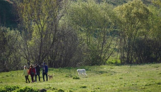 La pradera natural del Zurguen en primavera. (ARCHIVO de Comité Antinuclear y Ecologista de Salamanca)