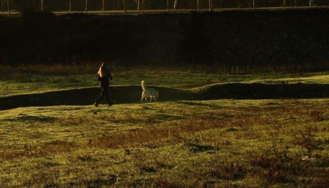 Paseando con el perro. Archivo de la asociación Comité Antinuclear y Ecologista de Salamanca. 