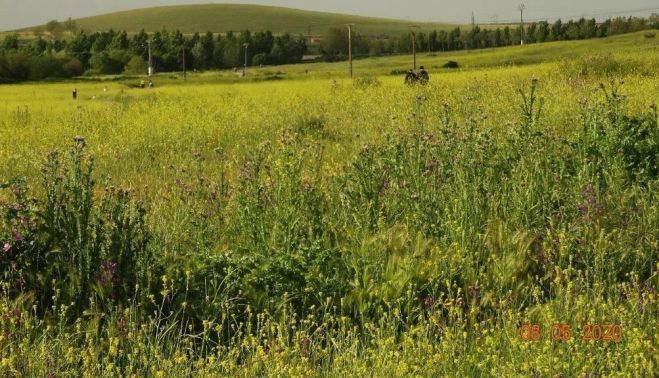 Caminantes en la pradera natural del Zurguén. Archivo asociación Comité Antinuclear y Ecologista de Salamanca. 
