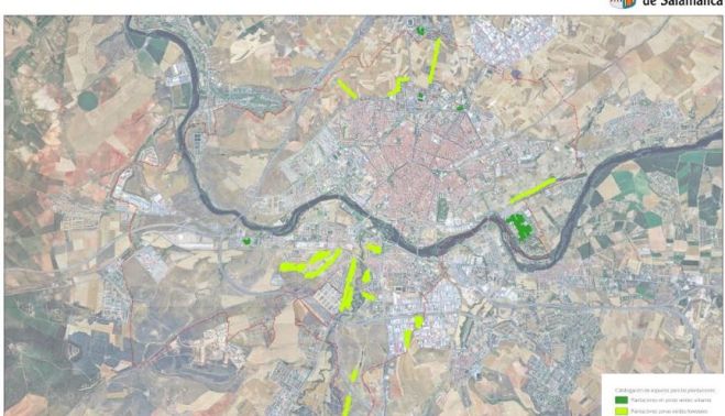 Las nuevas zonas verdes y bosques, pintadas de verde Las nuevas zonas verdes y bosques, pintadas de verde