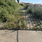 Estado actual del parque Ladera del Cerro de San Vicente.