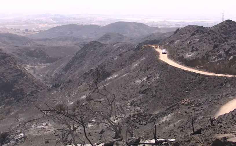 Una imagen del incendio de Los Gallardos
