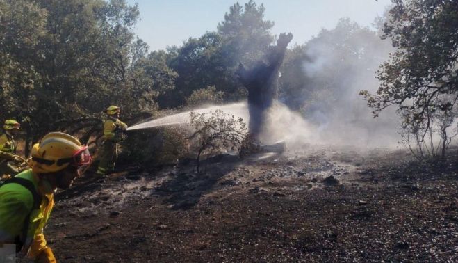 Bomberos forestales de CyL sofocando un incendio. (ARCHIVO) Bomberos forestales de CyL sofocando un incendio. (ARCHIVO)