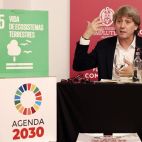 Carlos Martínez, este miércoles en El Escorial. (Ical)
