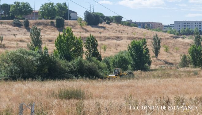 Maquinaria pesada y camiones en la pradera natural de El Zurguén.(8) Maquinaria pesada y camiones en la pradera natural de El Zurguén.(8)