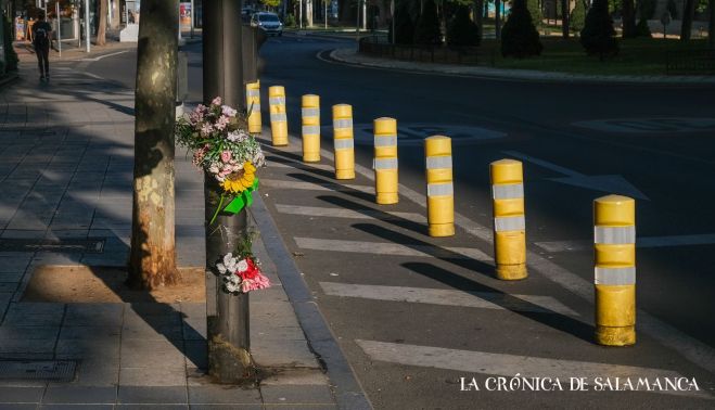 La avenida de Comuneros tendrá balizas en la rotonda de Antonio Machado, en la avenida de Comuneros. Fotografía. Pablo de la Peña. 