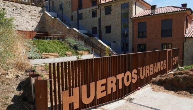 Espacio para los huertos urbanos en el Cerro de San Vicente. Fotografía. Comité Antinuclear y Ecologista de Salamanca. Espacio para los huertos urbanos en el Cerro de San Vicente. Fotografía. Comité Antinuclear y Ecologista de Salamanca.