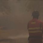 Un miembro de la UME en los incendios de Madrid y Ávila. (Sierra Oeste)