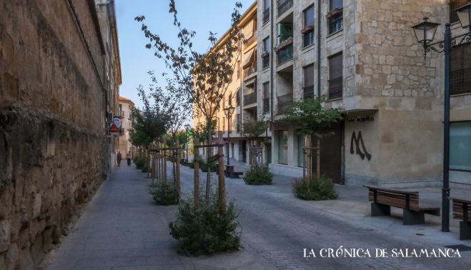 Cerezos secos en la calle Ancha. Fotografía. Pablo de la Peña. 