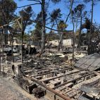 ICAL, Incendio forestal en Ávila. 