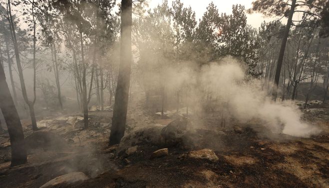 José VicenteICAL. El incendio forestal de Burgohondo (Ávila) calcinó ya alrededor de 50.000 hectáreas (5) José VicenteICAL. El incendio forestal de Burgohondo (Ávila) calcinó ya alrededor de 50.000 hectáreas (5)