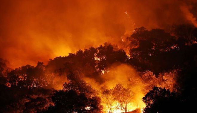 José VicenteICAL. El incendio forestal de Burgohondo (Ávila) calcinó ya alrededor de 50.000 hectáreas (2) José VicenteICAL. El incendio forestal de Burgohondo (Ávila) calcinó ya alrededor de 50.000 hectáreas (2)