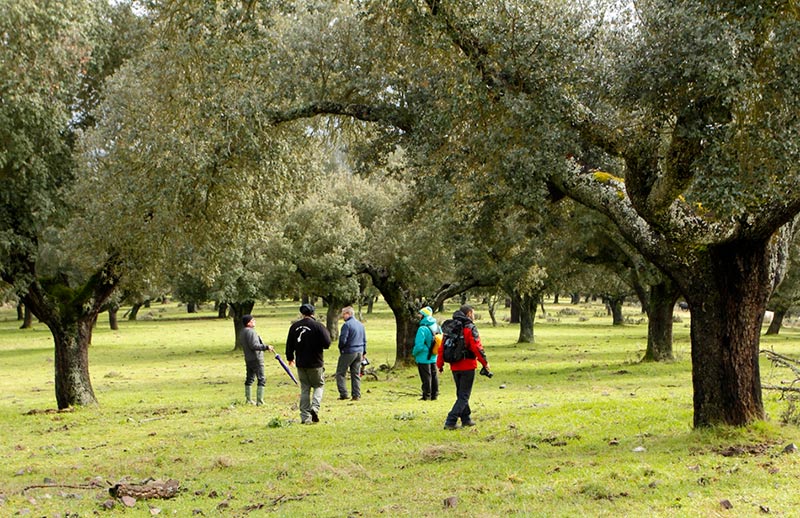 mina retortillo berkeley uranio