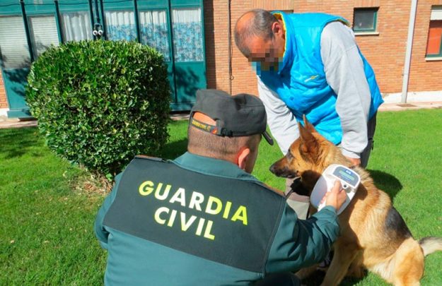 guardia civil campaña control perros