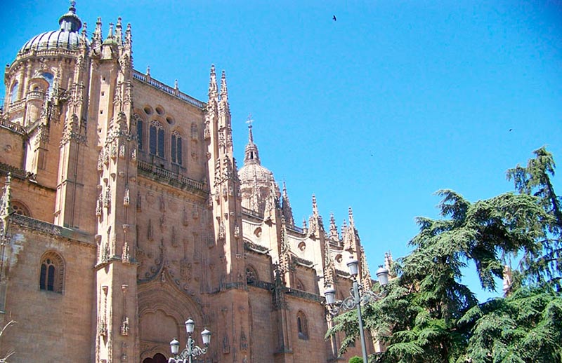 catedral ieronimus