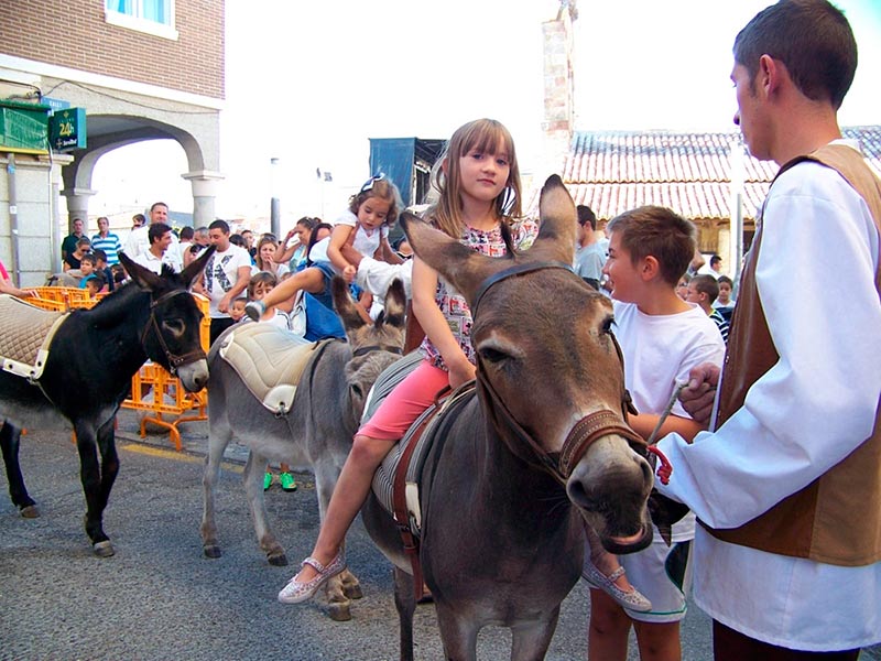 carbajosa fiestas paseo burros