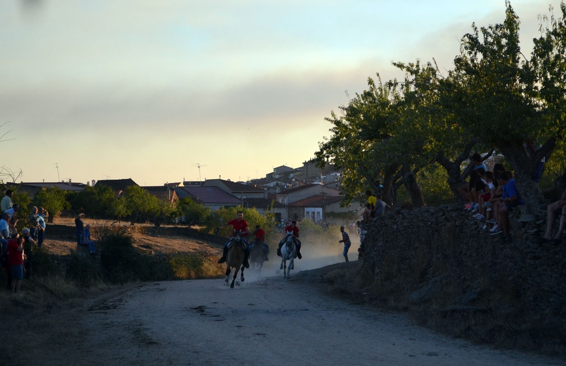 vilvestre carreras de caballos