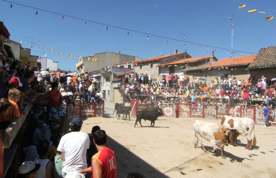 vilvestre fiestas encierro