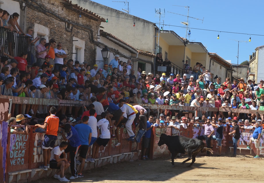 vilvestre fiestas