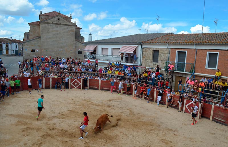 Barruecopardo encierros y vaquillas