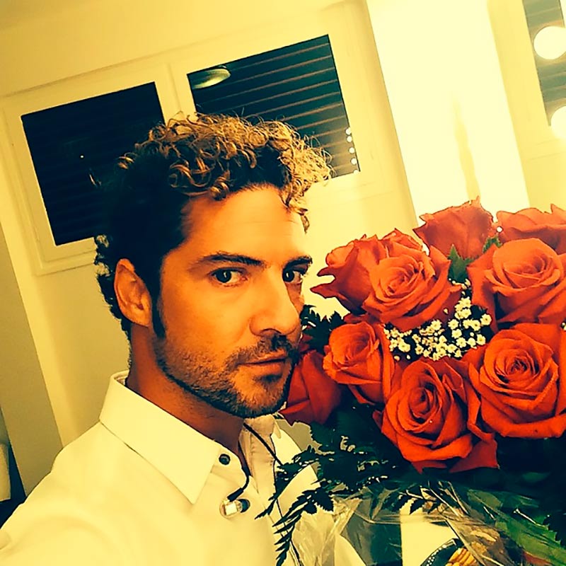 David Bisbal