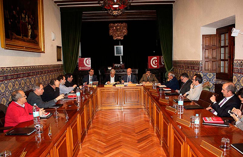 camara comercio pleno feb 15