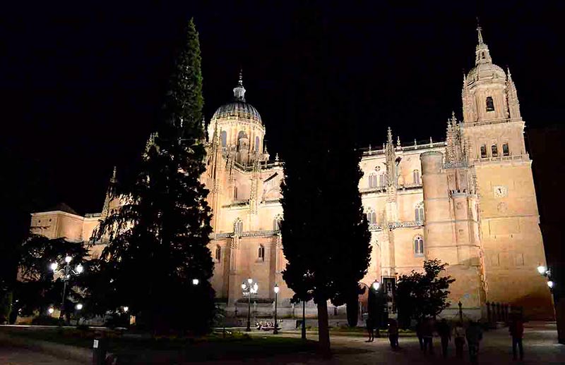 catedral ieronimus noche