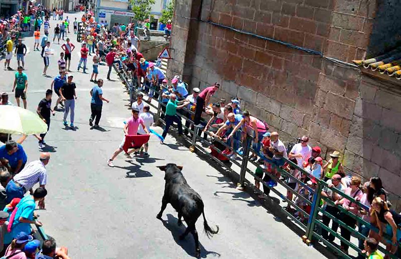 vitigudino encierro novillos corpus