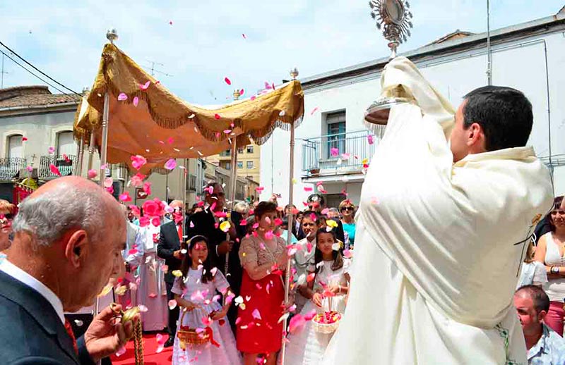 vitigudino corpus 15