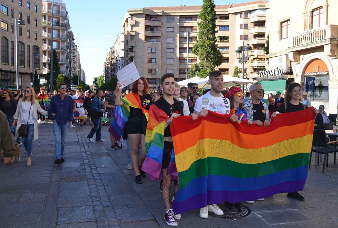 marcha manifestacion orgullo gay lgtbi (2)