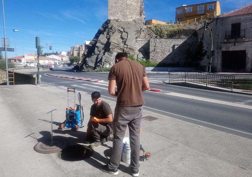 control plagas alba tormes