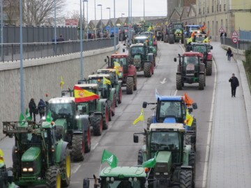tractorada campo agricultura (10)