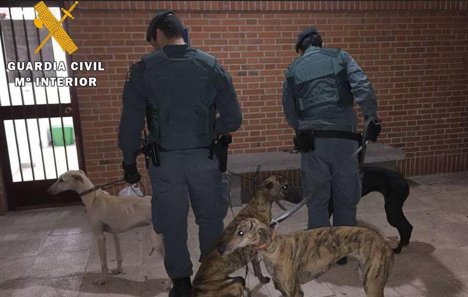 guardia civil confinamiento perros