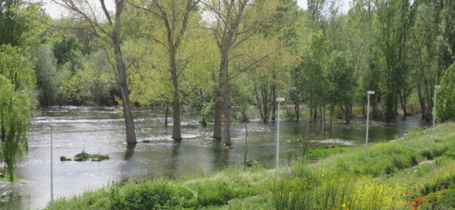 rio tormes desbordado lunes aguas coronavirus puente romano