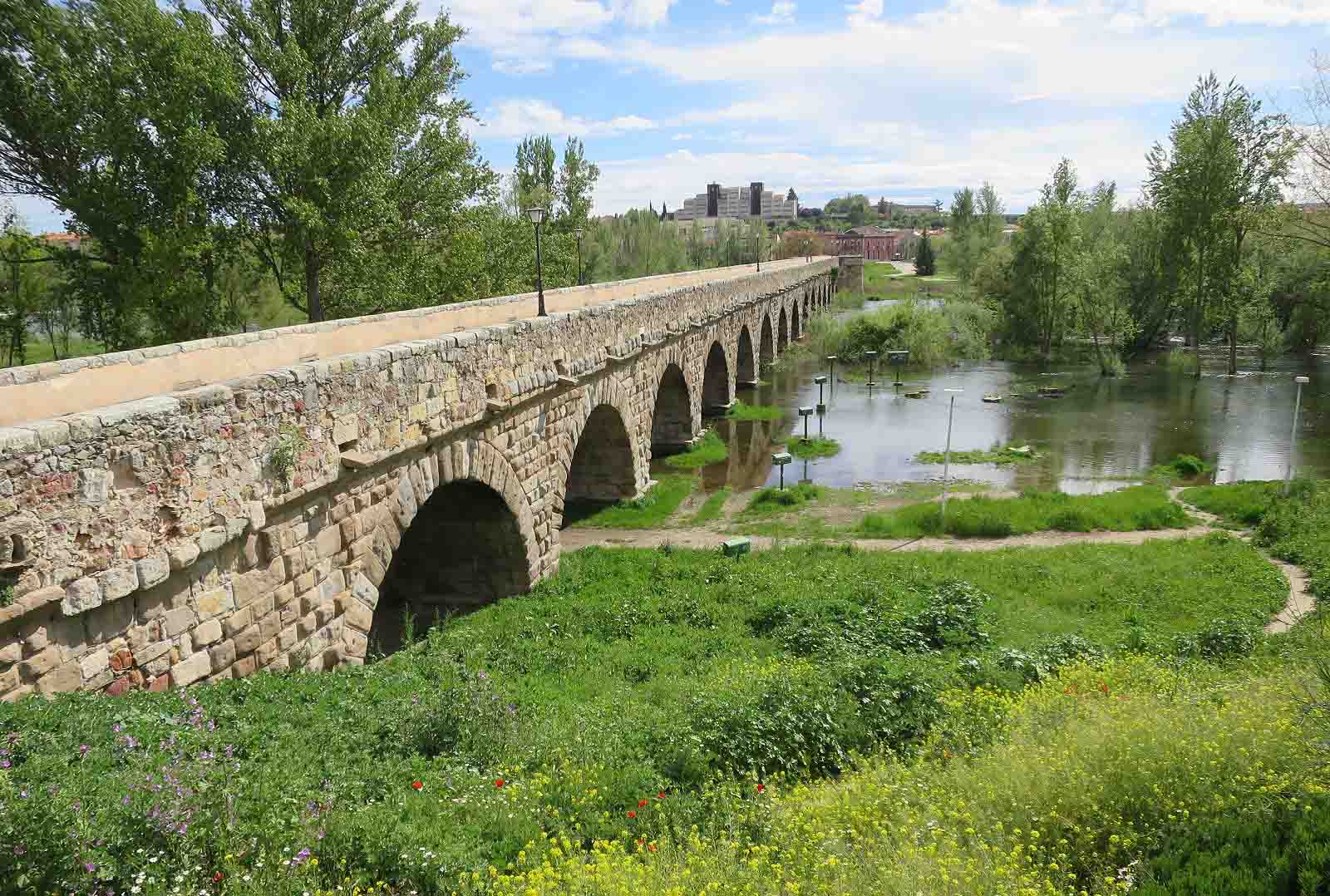 rio tormes desbordado lunes aguas coronavirus puente romano (1)